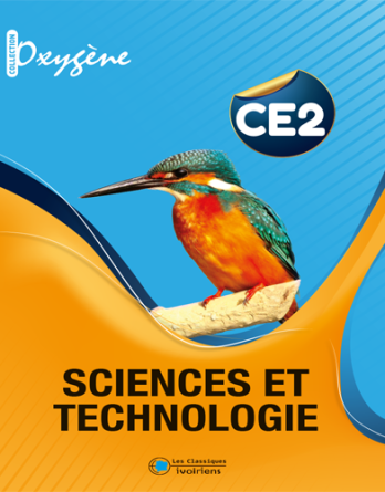 SCIENCES ET TECHNOLOGIE CE2